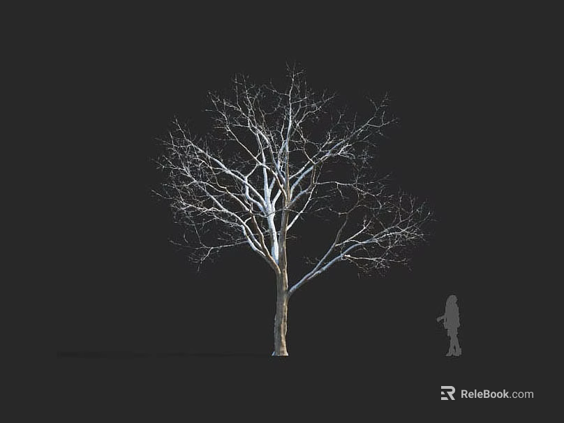 Tall Bare Tree With Delicate Branches And Silhouette Figure Against Dark Background 3d model 