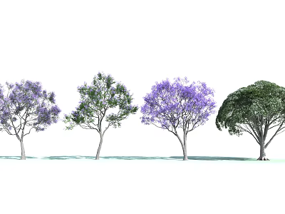 Beautiful Arbor Trees Featuring Purple Flowers And Various Crown Shapes In Natural Scene 3d model