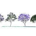 Beautiful Arbor Trees Featuring Purple Flowers And Various Crown Shapes In Natural Scene
