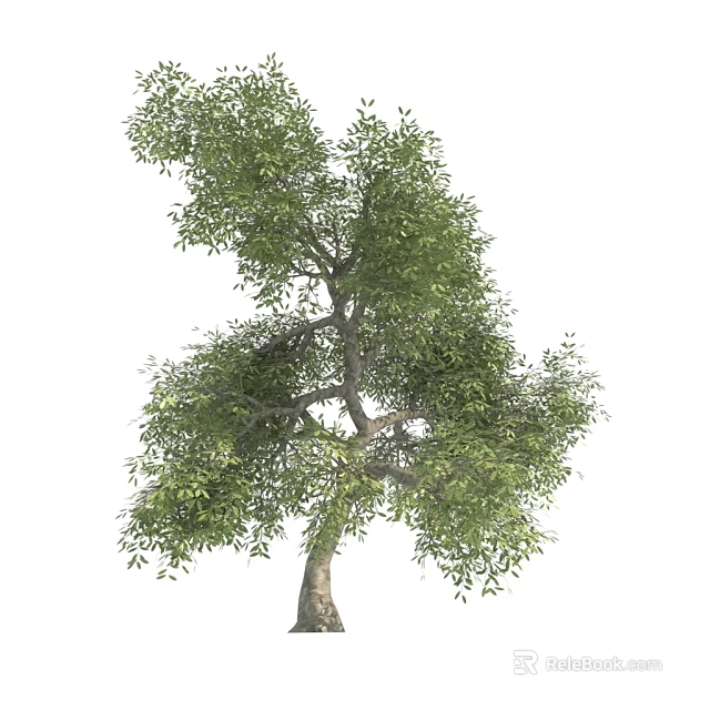 Vibrant Green Arbor Tree With Lush Foliage And Strong Branch Structure 3d model 