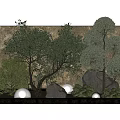 Natural Indoor Landscape Design With Olive Trees Rocks Green Plants And White Spheres
