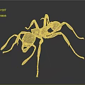 Detailed Metallic Silver Ant Model Displayed On Dark Background With Reflection
