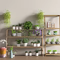 Multi Tiered Wooden Plant Stand Decorated With Various Potted Plants And Hanging Greenery