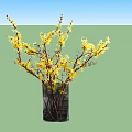 Elegant Potted Bonsai Plant with Yellow Flower Branches in Black Transparent Vase