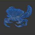 Realistic Aquatic Animal Crab With Dark Brown Shell Spotted Claws And Detailed Texture