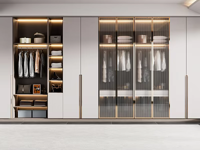 Modern Wardrobe Interior Design With Glass Doors Layered Storage Drawers And Hanging Areas 3d model
