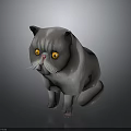 Gray Cat With Yellow Eyes And White Whiskers Sitting On Dark Background