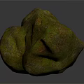 Natural Mossy Stone with Irregular Shape and Earthy Green Texture for Decoration