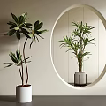 Indoor Decorative Potted Plants with Green Leaves in White Pots and Circular Mirror