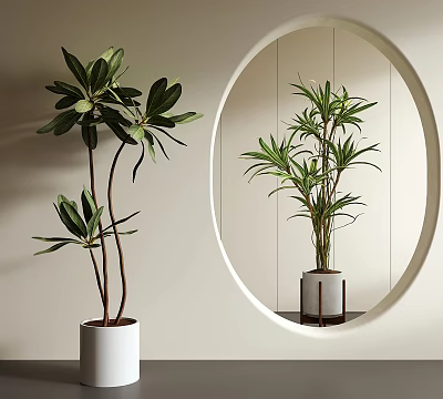 Indoor Decorative Potted Plants with Green Leaves in White Pots and Circular Mirror 3d model