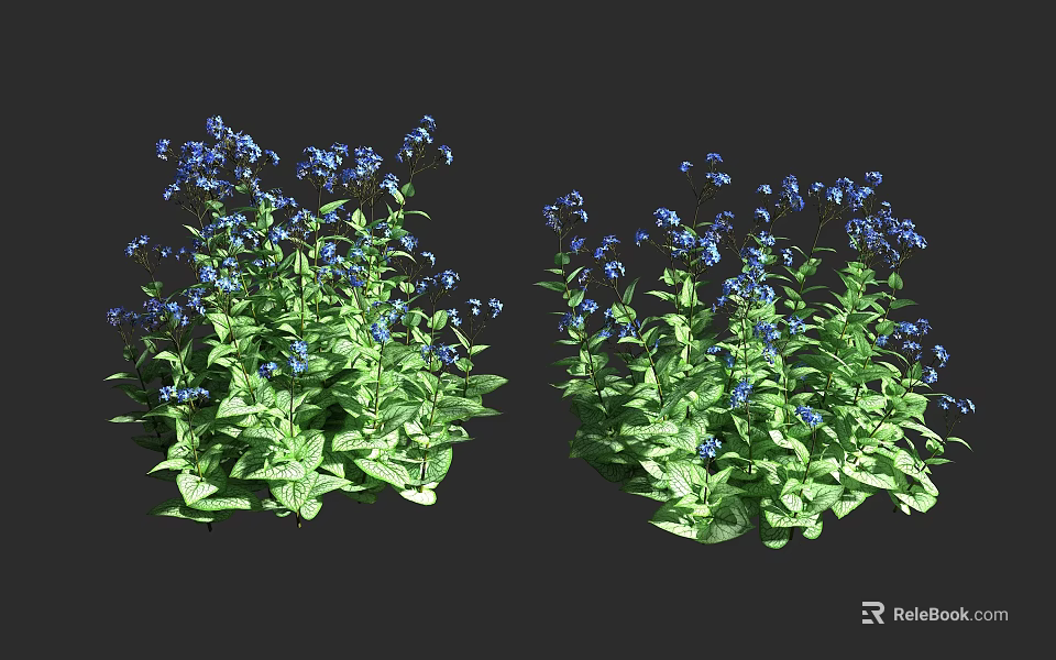 Lush Green Leaf Shrubs With Blue Flowers In Clusters On Dark Background 3d model 