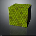 Organ And Hair Inspired Green Scaled Cube With Detailed Textured Surface Design