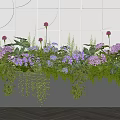Indoor Plant Arrangement With Purple Flowers Green Leaves Hanging Plants And White Tiled Wall