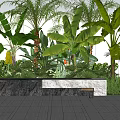 Tropical Garden Landscape With Palm Banana Trees Large Green Leaves Stone Bench White Wall Paved Ground