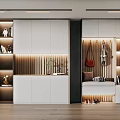 Modern Elegant Shoe Cabinet With Clothing Hangers Open Shelves And Lighting Design