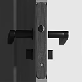 Modern Swing Door Design Featuring Black And Gold Door Handles For Home Interior