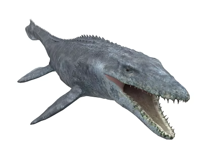 Prehistoric Aquatic Reptile Mosasaurus With Open Mouth Sharp Teeth Streamlined Body And Flippers 3d model