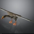 Brown Goose With Spread Wings Orange Beak And Orange Feet On Dark Background