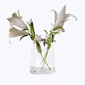 Transparent Glass Vase With White Lilies Green Stems And Fresh Leaves