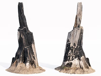 Natural Weathered Wooden Stumps With Stone Base And Rustic Texture Details 3d model