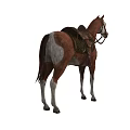 Brown And White Horse With Saddle And Bridle Standing Gracefully