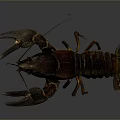 Realistic 3D Modeled Lobster In Standing Pose With Detailed Claws And Textured Shell