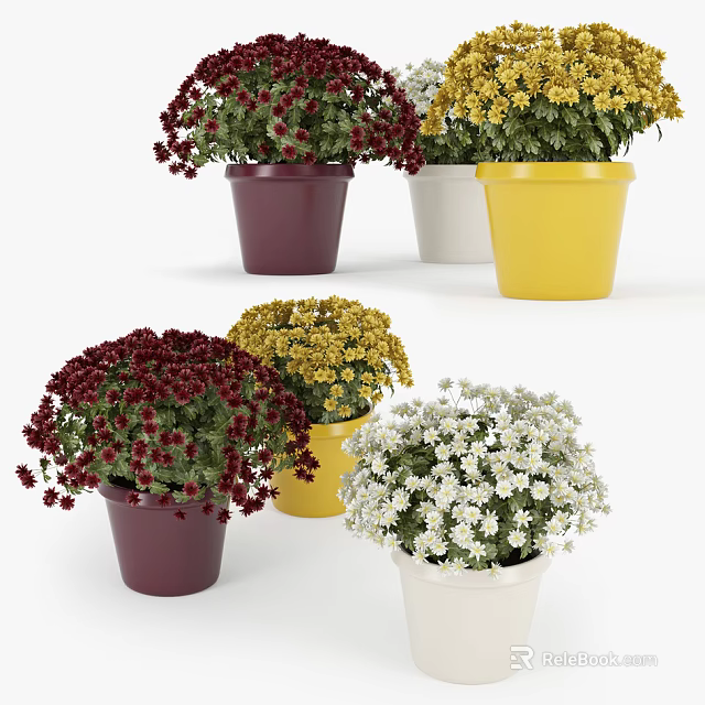 Blooming Bonsai Potted Plants With Colorful Flowers In Various Colored Pots 3d model 