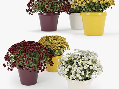 Blooming Bonsai Potted Plants With Colorful Flowers In Various Colored Pots 3d model