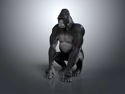 Realistic 3D Gorilla Model Digital Render With Sitting Pose And Gray Background 3d model