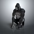 Realistic 3D Gorilla Model Digital Render With Sitting Pose And Gray Background 3d model
