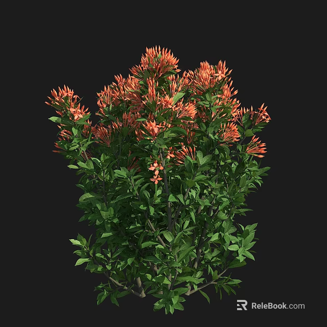 Lush Botanical Plant with Vibrant Orange Flowers and Fresh Green Leaves 3d model 