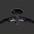 Falcon Flying With Spread Wings In Mid Air Against Gray Background