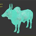 White Brahma Bull With Black Horns Standing On Gray Background Surface