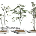 Modern Tree Landscape Tree 3d model