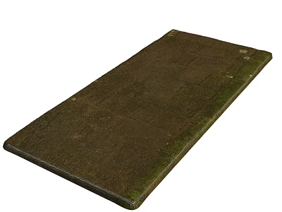 Dark Brown Mossy Stone Slab With Natural Textured Surface And Weathered Edges 3d model