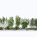 Serene Garden Feature Design With Bamboo Stones And Various Green Plants