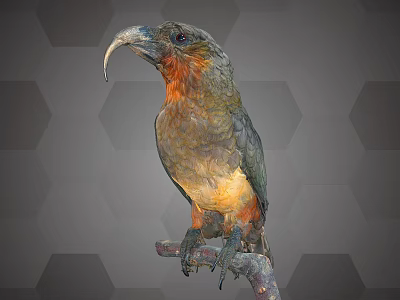 Vibrant Bird Perched On Branch With Brown Orange Plumage Curved Beak And Hexagonal Background 3d model