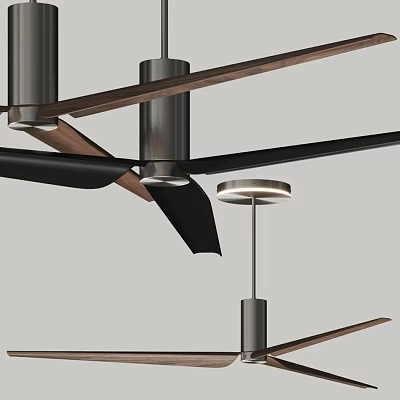 Modern Ceiling Fan Ceiling Fan 3d model