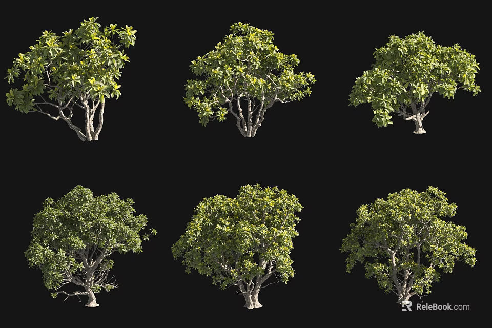 Various Arbor Trees With Lush Green Foliage And Different Crown Shapes 3d model 