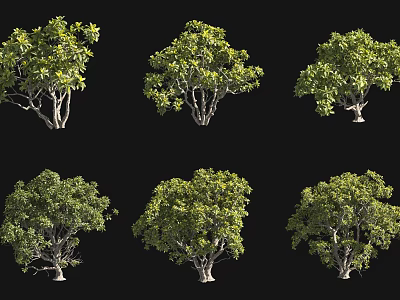 Various Arbor Trees With Lush Green Foliage And Different Crown Shapes 3d model