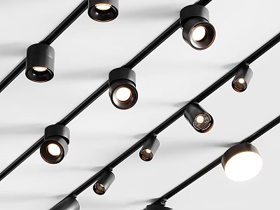 Sleek Black Track Mounted Downlights And Spotlights With Adjustable Angles For Modern Ceiling Lighting 3d model