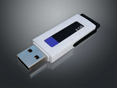 White USB Flash Drive With Black Accent Blue Stripe And 8GB Capacity 3d model
