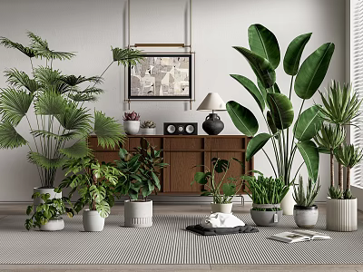 Elegant Potted Plants With Large Leafy Greenery Wooden Cabinet Lamp And Artwork In Interior Decor 3d model