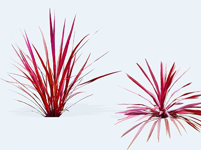 Vibrant Red and Pink Shrubs With Slender Leaves For Garden Decoration 3d model