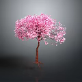 Pink Flowering Tree With Vibrant Blooms And Exposed Root System On Dark Background