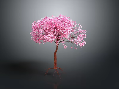 Pink Flowering Tree With Vibrant Blooms And Exposed Root System On Dark Background 3d model