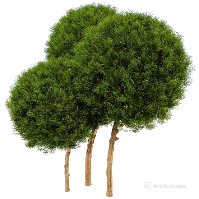 Charming Treehouse Built on Two Brown Trunks with Green Leaves and Natural Environment 3d model 