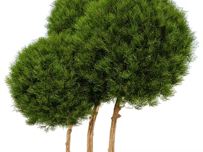 Charming Treehouse Built on Two Brown Trunks with Green Leaves and Natural Environment 3d model
