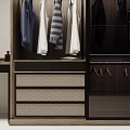 Modern Wardrobe Interior Design With Hanging Area Drawers And Storage Boxes 3d model