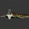Realistic Crocodile With Open Mouth Sharp Teeth And Brown Scales On Gray Background